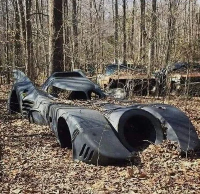 murarz13 - To że Polacy porzucają auta w lasach wiedziałem od dawna. Ale żeby Batman ...