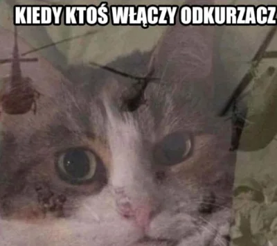 Chyukyank - #heheszki #humorobrazkowy #koty #memy