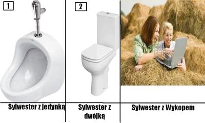 wtf2009 - #heheszki #zboze #sylwesterzwykopem #sylwester ( ͡° ͜ʖ ͡°)