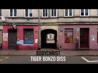 chosenon3 - (ʘ‿ʘ)

#patostreamy #tiger #bodychrist #heheszki #diss