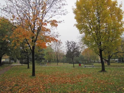 m.....- - > Park "uroczo" wygląda tylko i wyłącznie na zdjęciu ze znaleziska. Na żywo...