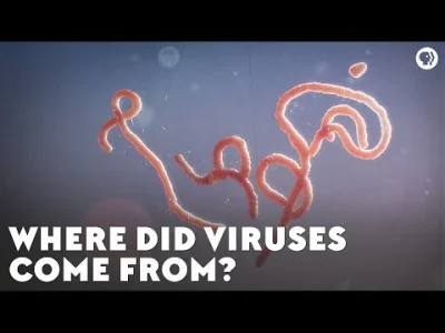 myrmekochoria - Skąd wzięły się wirusy?