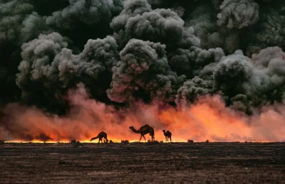 Magnolia-Fan - wielbłądy na tle płonących pól naftowych, Kuwejt 1991 r.
#zdjeciazwoj...
