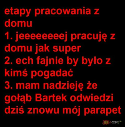 L1QID0 - @Nastruj 
Dzidowcy już #!$%@? ( ͡° ʖ̯ ͡°)