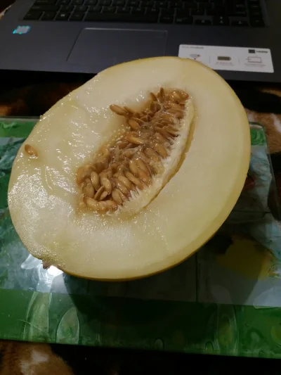 Rruuddaa - Żólty melon na promocji w biedrze. Jakie to dobre
#jedzzwykopem