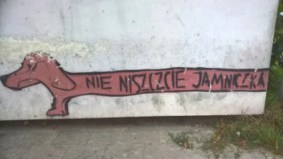 t.....i - #streetart #jamniczek