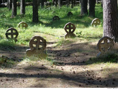 johanlaidoner - Wyspa Vormsi, Estonia- stary szwedzki cmentarz. Moje zdjęcie z zeszłe...