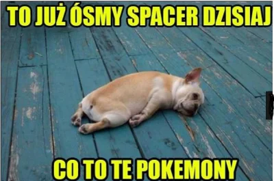 Honolulu - #pokemongo #heheszki #smiesznypiesek #humorobrazkowy