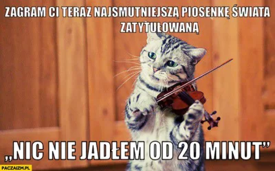 JEDENASTKA - #gownowpis #humorobrazkowy #koty #muzyka #smiesznekotki #heheszki Dobry ...