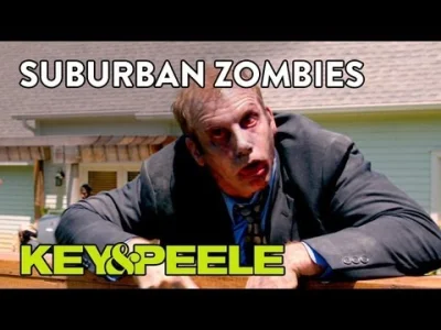 buleczkowy_potwor - Rasistowskie zombie.

#rasizm #humor