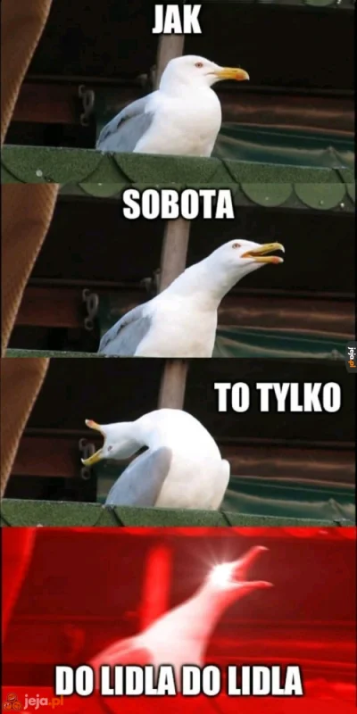 viejra - @yogmean: JUŻ JUTRO SOBOTA< A JAK SOBOTA TOOOOOOOOO TYLKO DO LIDLA DO LIDLA!