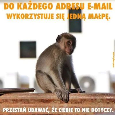 z.....a - #heheszki #humorinformatykow #pstoprawda