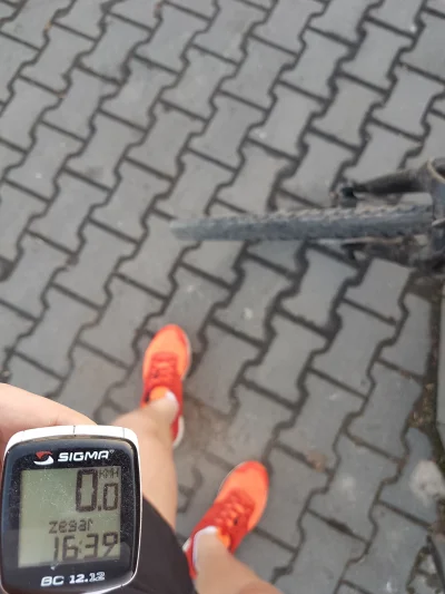 PepeXD - @wiktorek_pl: jak za wcześnie? Właśnie jestem na rowerze i jest idealna temp...