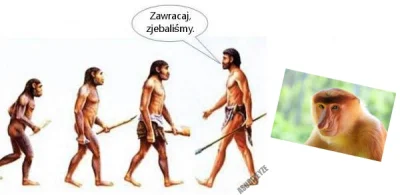 AsuriTeyze - #polak #heheszki #ewolucja #nosaczsundajski #humorobrazkowy