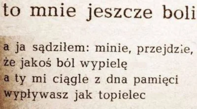 cyrk_noca - Gałczyński
#poezja