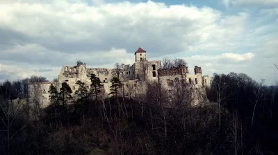 R.....l - Zamek w Rudnie

#zdjecia #zamek #fotografia #fotohistoria #castle