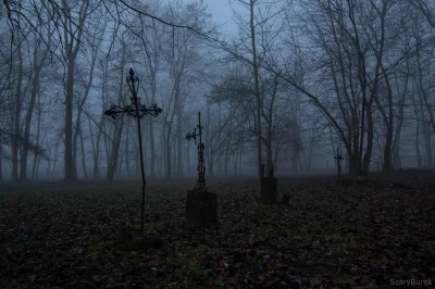 nightmeen - Jakiś czas temu zapowiadałem że wrzucę fotorelację z mglistego cmentarza ...