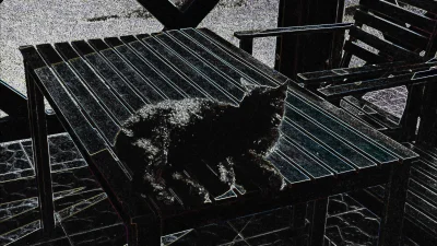 majsterV2 - #fotografia #koty #kitku #slodkijezu #tapetanadzis