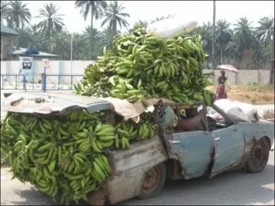 k.....z - #Bananyboners 

#motoknifers