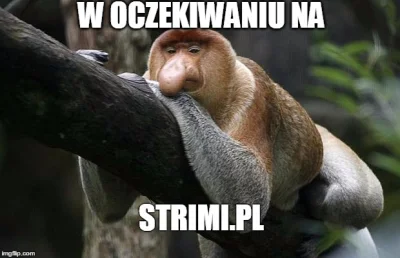 Luk_1mex - > UF JESZCZE TYLKO 2 DNI NA TYM GOWNOPORTALU 

XDDDD
#polak #strimi #go...