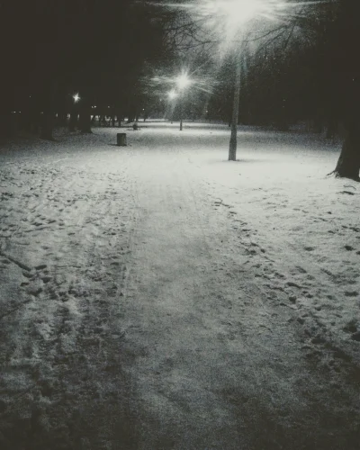 dzasny - Tęskniłem za śniegiem
#snieg #zima #spacer #krakow