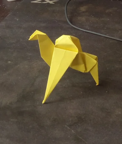 twojastarato_jezozwierz - #100rigami #origami

30/100