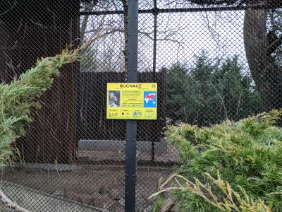 a231 - @lonegamedev: W warszawskim zoo jest nawet taki jeden ;-)
