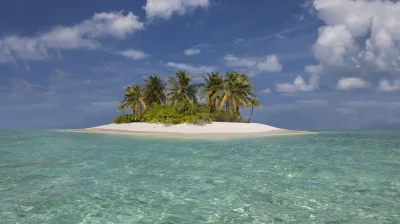 WyciekMarmolady - Kogo wolałbyś mieć za kompana na bezludnej wyspie?
#pytanie #ankie...