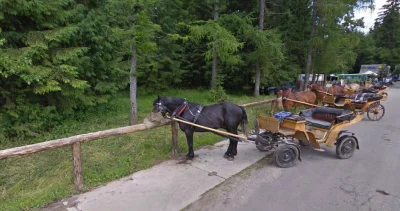 l-da - Rysy
#streetview #googlestreetview #konie #góry #zwierzęta #natura #rysy
