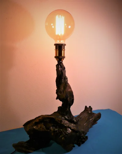 SkorupomaniakSenpai - Ostatnio robię takie lampki z pnia z żarówką Edisona ;3 Żarówka...