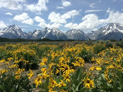 P.....f - Łańcuch górski Teton, WY, USA.
#gory #earthporn #kalkazreddita