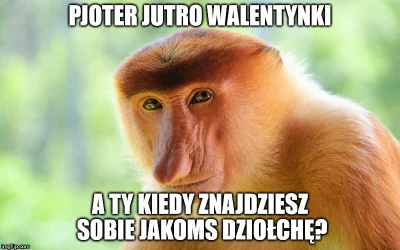 AsuriTeyze - #polak #Heheszki #humorobrazkowy #walentynki