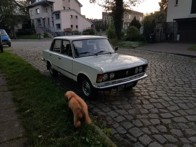 kanapkaznutella - #czarneblachy #szczecin #samochody gdzieś na pogodnie