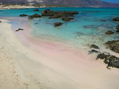 h3lloya - Elafonisi - plaża z różowym piaskiem