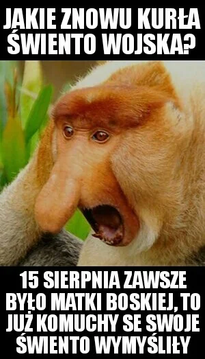Szef_Wypoku - #heheszki #humorobrazkowy #malpapolak #nosaczsundajski #nosacz #polak #...