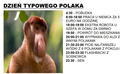 Hypeman - ( ͡º ͜ʖ͡º)
#nosaczsundajski #polak #humorobrazkowy #heheszki