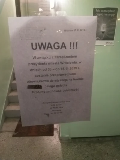 Hiktor - Kotek Wrocek idzie na żer, uważaj uważaj uważaj #wroclaw #heheszki