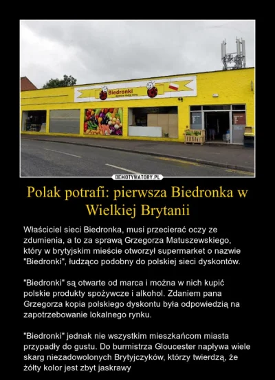 pesymista53 - @Kresse: Sieć Biedronek założył Polak. Podróbkę biedronek też Polak :)