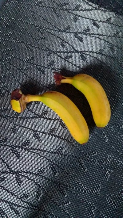 Jaracz_Joint - Jakie śmieszne banany! Idealne dla #rozowepaski które zaczynają na wyk...