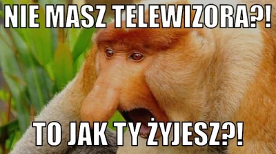 ZielonyZenek - #humorobrazkowy #polak