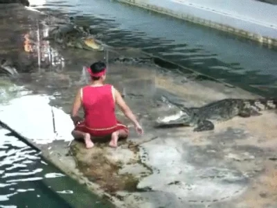 rzep - Makabryczny wypadek na pokazie z krokodylami w Tajlandii. Mam nadzieję, że nic...