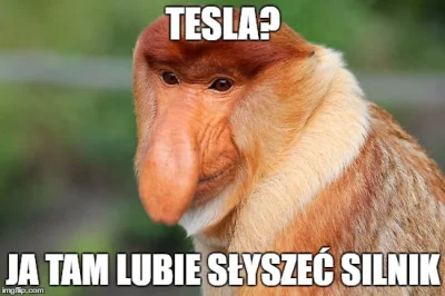 Syfjakna_wykopie - #polak #tesla