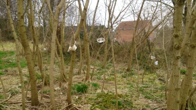 DelPiedro - Jakieś dzieciaki bawią się chyba w blair witch project XD jednak jest jes...