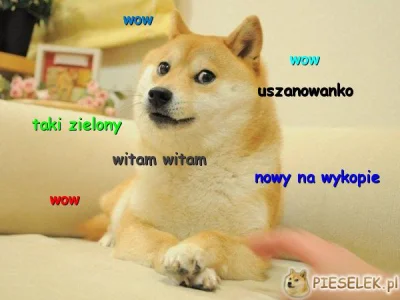 w.....u - uszanowanko :) #witam #piesel