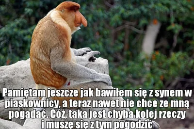 K.....5 - #heheszki #humorobrazkowy #polak #nosaczsundajski #nosacz #feels #nosaczfee...