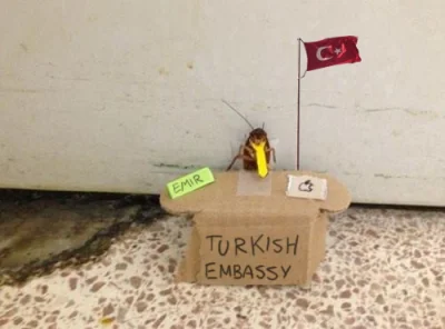 K.....i - Turecka ambasada juz wystosowala odpowiedni komunikat ( ͡° ͜ʖ ͡°)