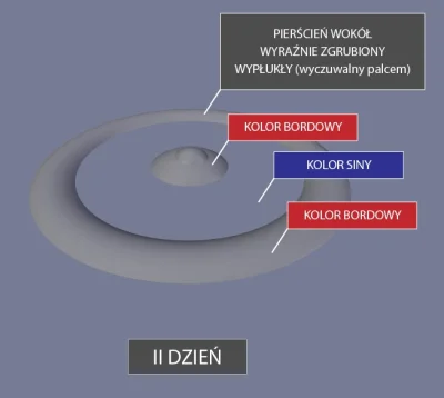 mhrok87 - Nastraszony ugryzieniami pająka, chorobą zwaną "róża", ukąszeniami żmij, ra...