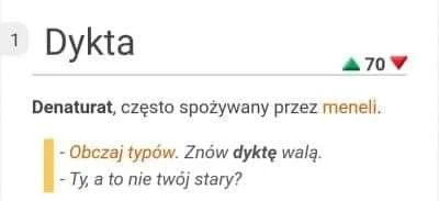 ShineLow - Ten słownik to Złoto XDDD