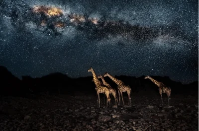 PiotrekPan - Nocny pejzaż na granicy Namibii(｡◕‿‿◕｡)
#earthporn #kosmos #fotografia ...