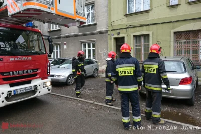 grishko - 3 Maja 2019, Bielsko-Biała, ul. Ogrodowa, godz. 16.25 - Wszystkie służby wy...